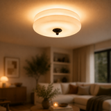 Art Home Deco Ceiling Light